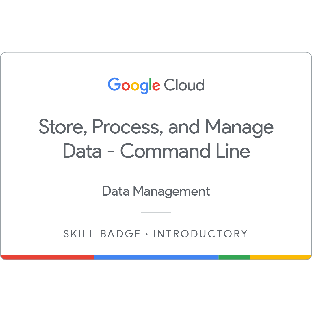 Store, Process, and Manage Data on Google Cloud - Command Line
